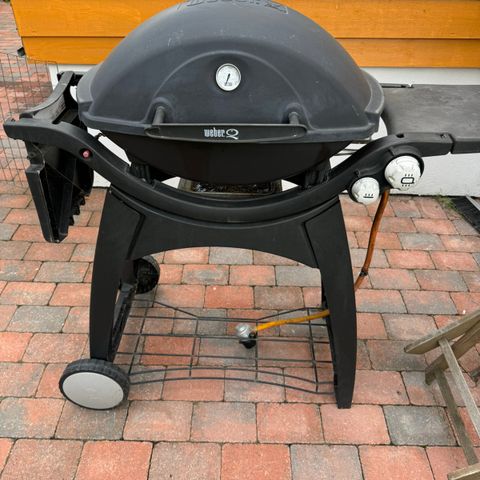 Weber q300