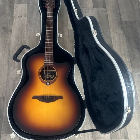 guitar with case