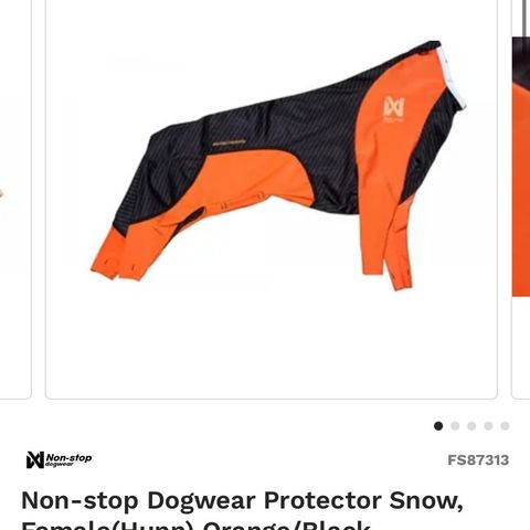 Non stop protector snow