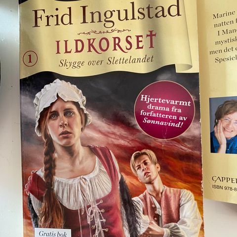 Ildkorset av Frid Ingulstad