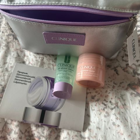 Clinique Pouch