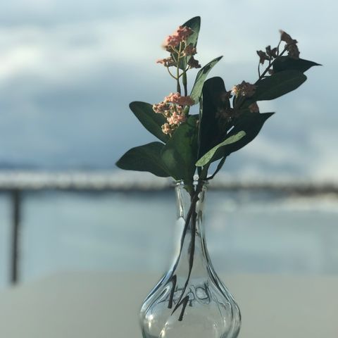 Vase med blomster