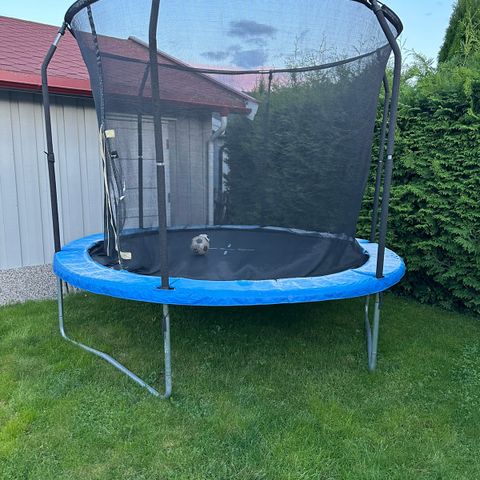 ProFlyer trampoline