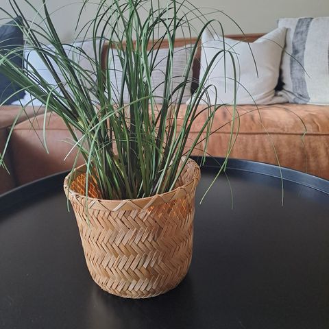 Kunstig plante fra kremmerhuset