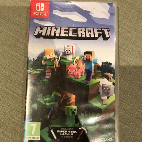 Pent brukt minecraft til Nintendo switch