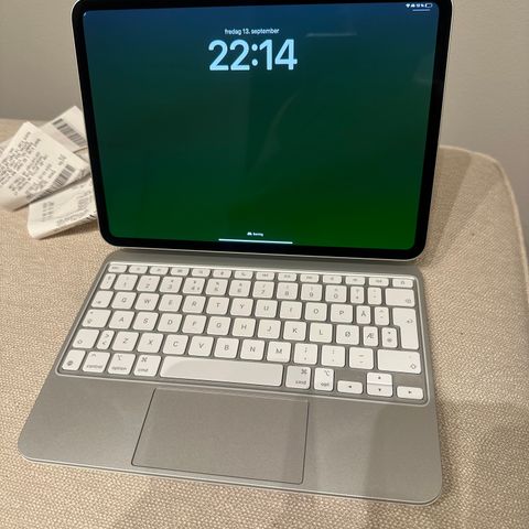 Apple Ipad Pro M4 256 GB Wifi Sølv + Magic Keyboard.