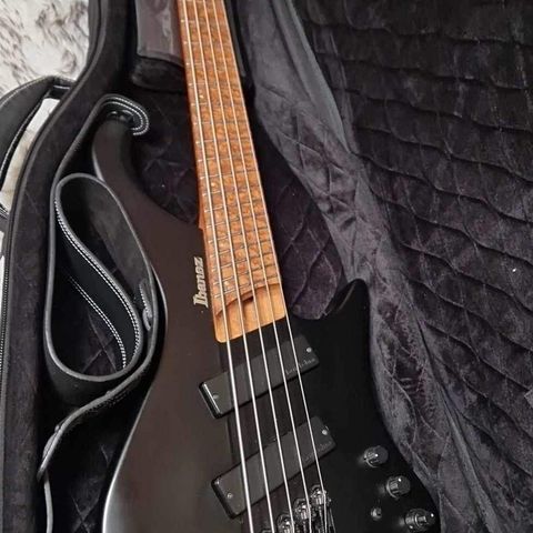 Ibanez EHB1005MS