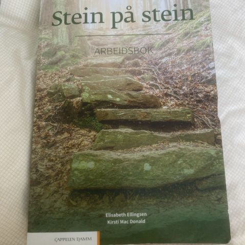 Norsk språk Stein på Stein Arbeidsbok