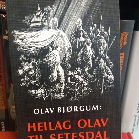 HEILAG OLAV TIL SETESDAL