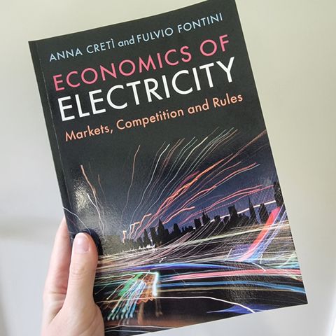 Economics of electricity: markets, competition and rules