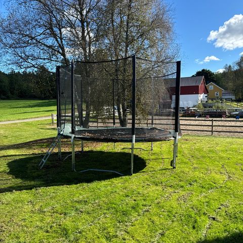 Trampoline.