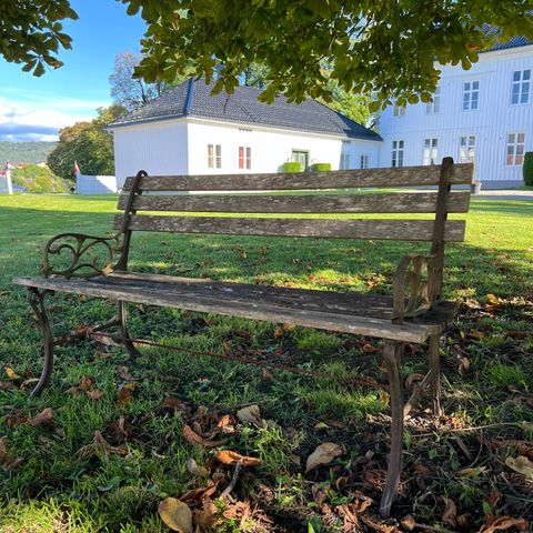 Antikk Rustikk støpejern hagebenk / hagemøbler / utemøbler med patina