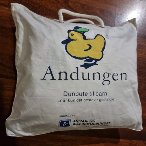 Andungen dunpute 40 x 60 til barn