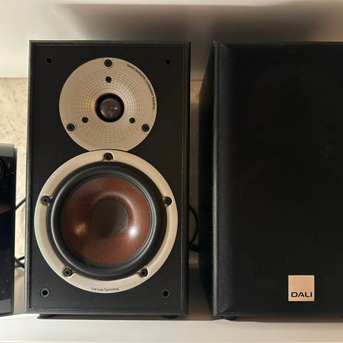 NAD D3020 v2 + DALI Spektor2