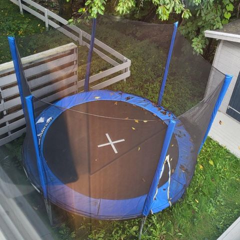 Trampoline