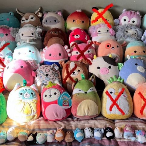 Gigantisk Squishmallow samling selges