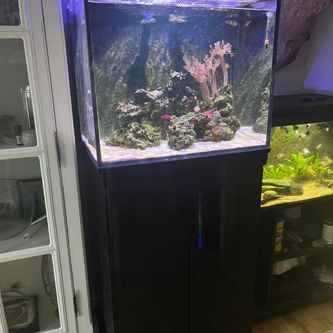 Saltvannsakvarium 150liter