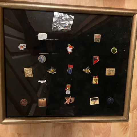 Diverse pins