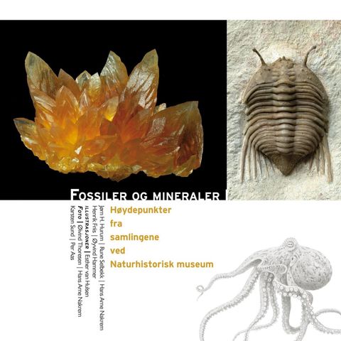 Fossiler og mineraler - høydepunkter fra samlingene ved Naturhistorisk museum