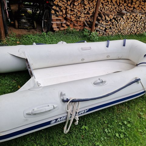 Mercury RIB