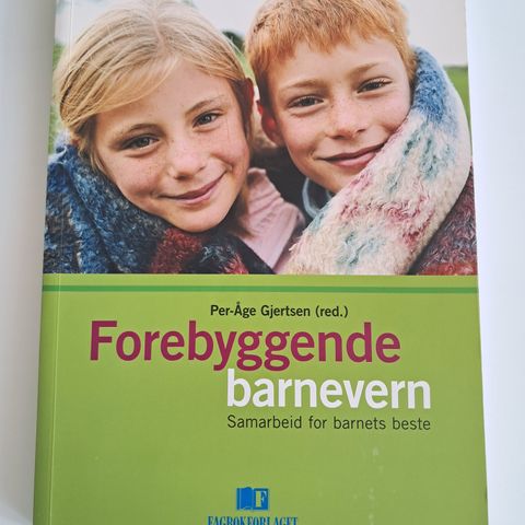 Forebyggende barnevern