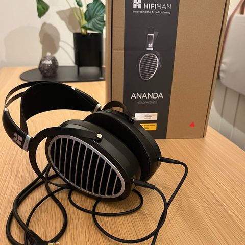 Hifiman Ananda Stealth Magnets