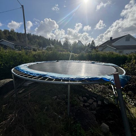 Trampoline