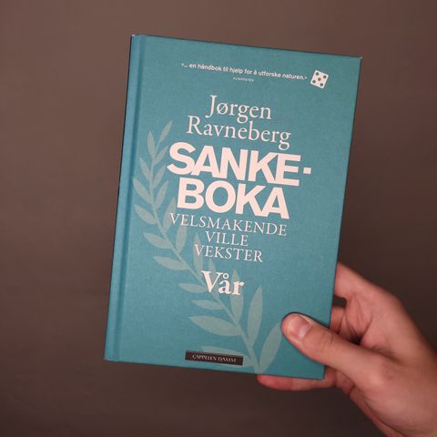 Sankeboka