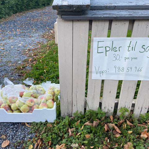 Epler til salgs ved Hønefoss stadion