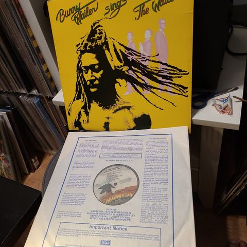 Bunny Wailer sings the wailers