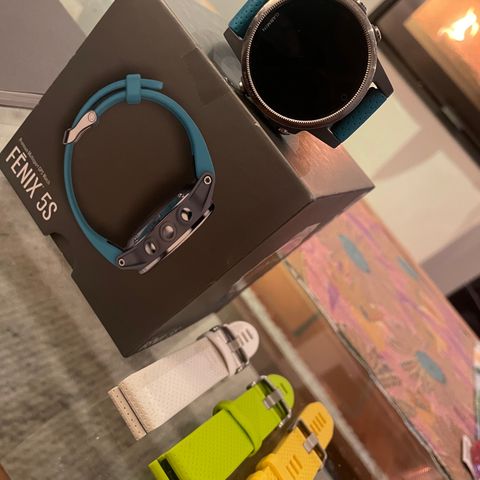 Garmin Fenix 5S