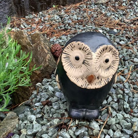 Søt liten ugle/ hagefigur keramik🦉