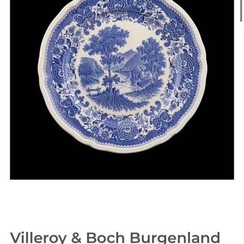 Ønsker å kjøpe deler til Villeroy&Boch Burgeland blå