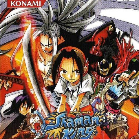 Ønskes Kjøpt - Shaman King: Power of Spirit PS2 PAL