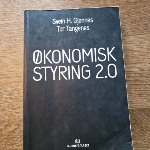 Økonomisk styring 2.0