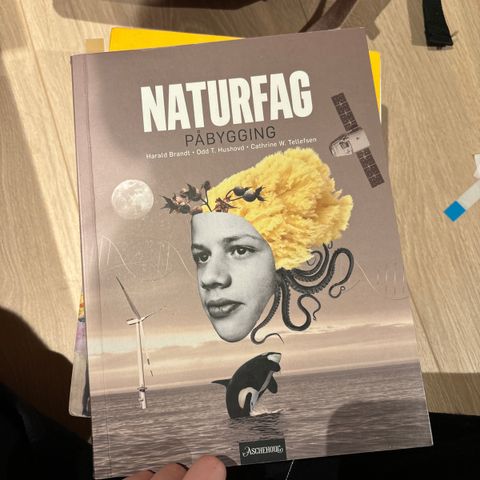 Naturfag påbygging