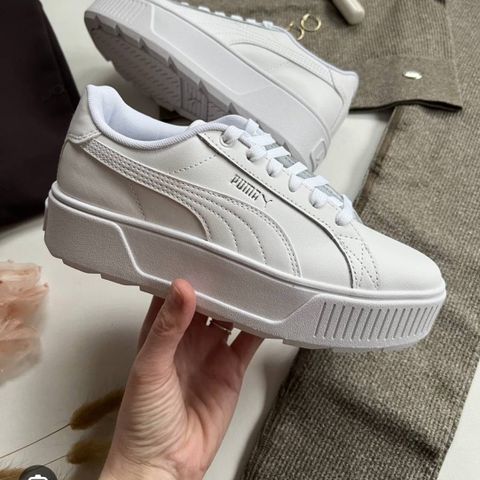 Puma karmen L