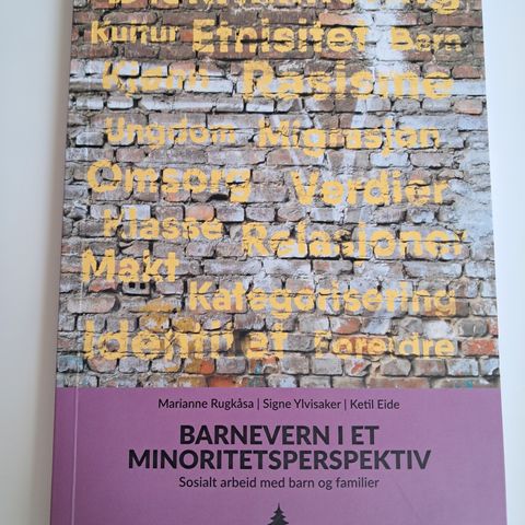 Barnevern i et minoritetsperspektiv