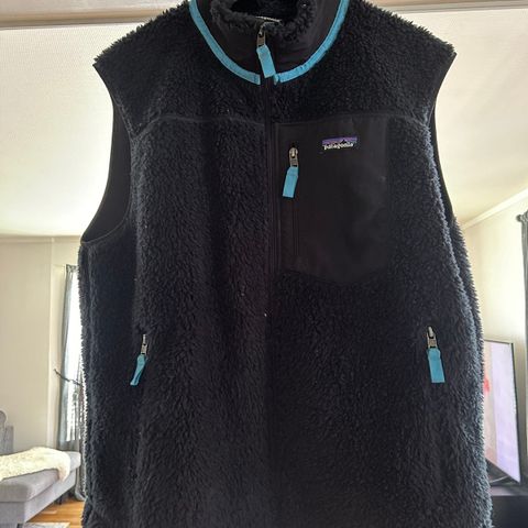 Patagonia vest.