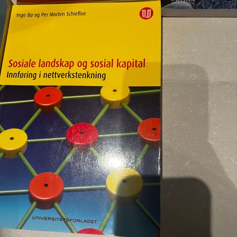 Sosiale landskap og sosial kapital