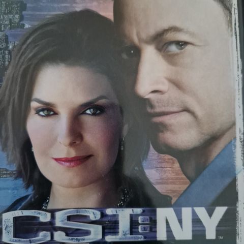 CSI: New York season 7&8