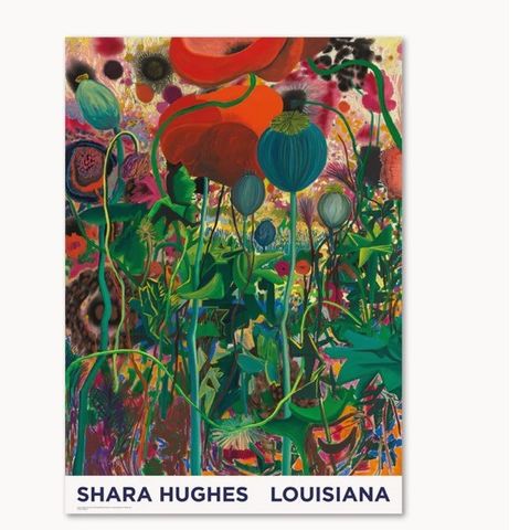 Louisiana Plakat  Shara Hughes Louisiana - Pop 2021- A1 format