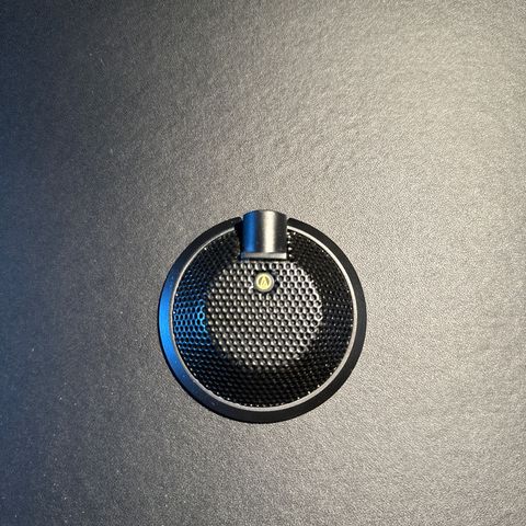 Microphone Audio-Technica AT841UG