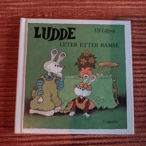 Ludde leter etter bamse