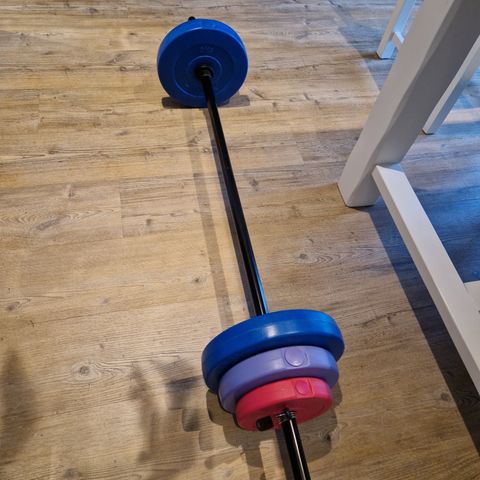 Treningsstang med 17,5 kg