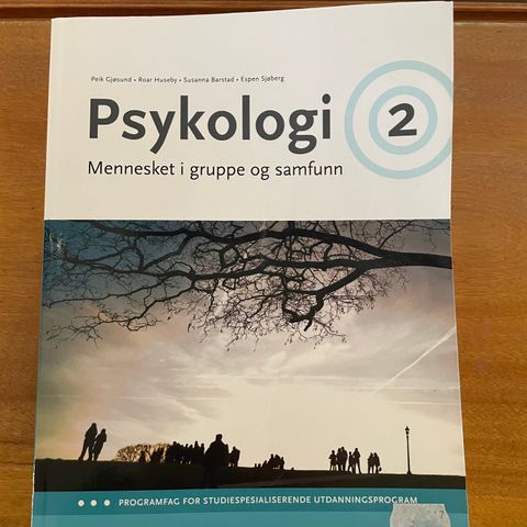 Psykologi 2 - Mennesket i gruppe og samfunn (Bok for privatister)