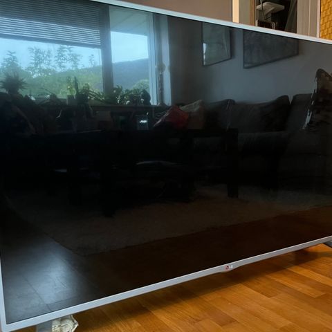 Defekt LG TV