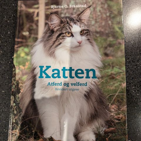 Katten atferd og velferd