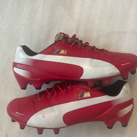 Puma evospeed