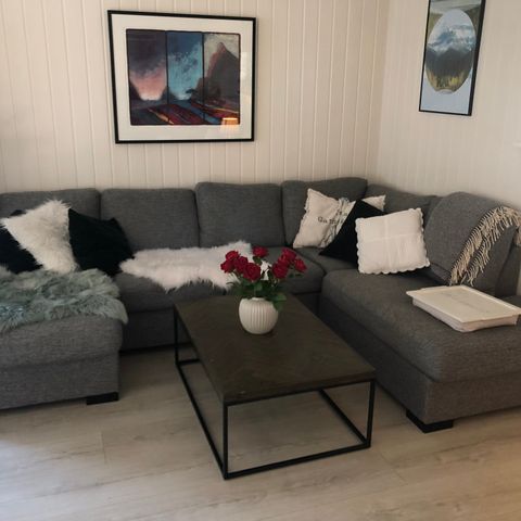 Lite brukt sofa fra skeidar